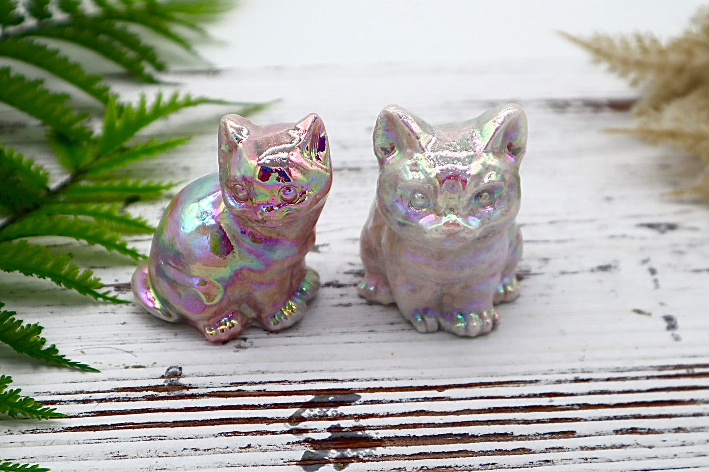 Angel Aura Cat