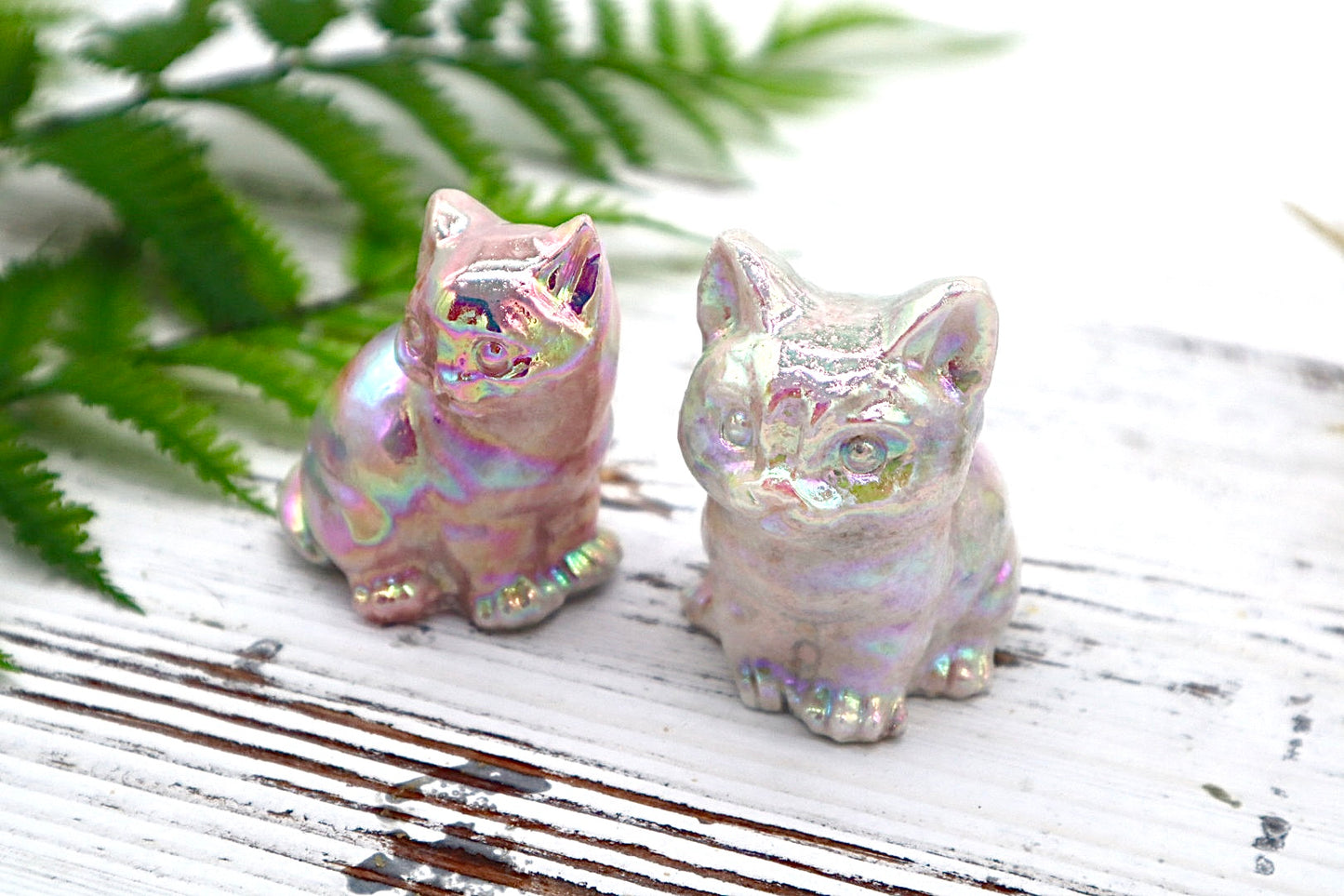 Angel Aura Cat