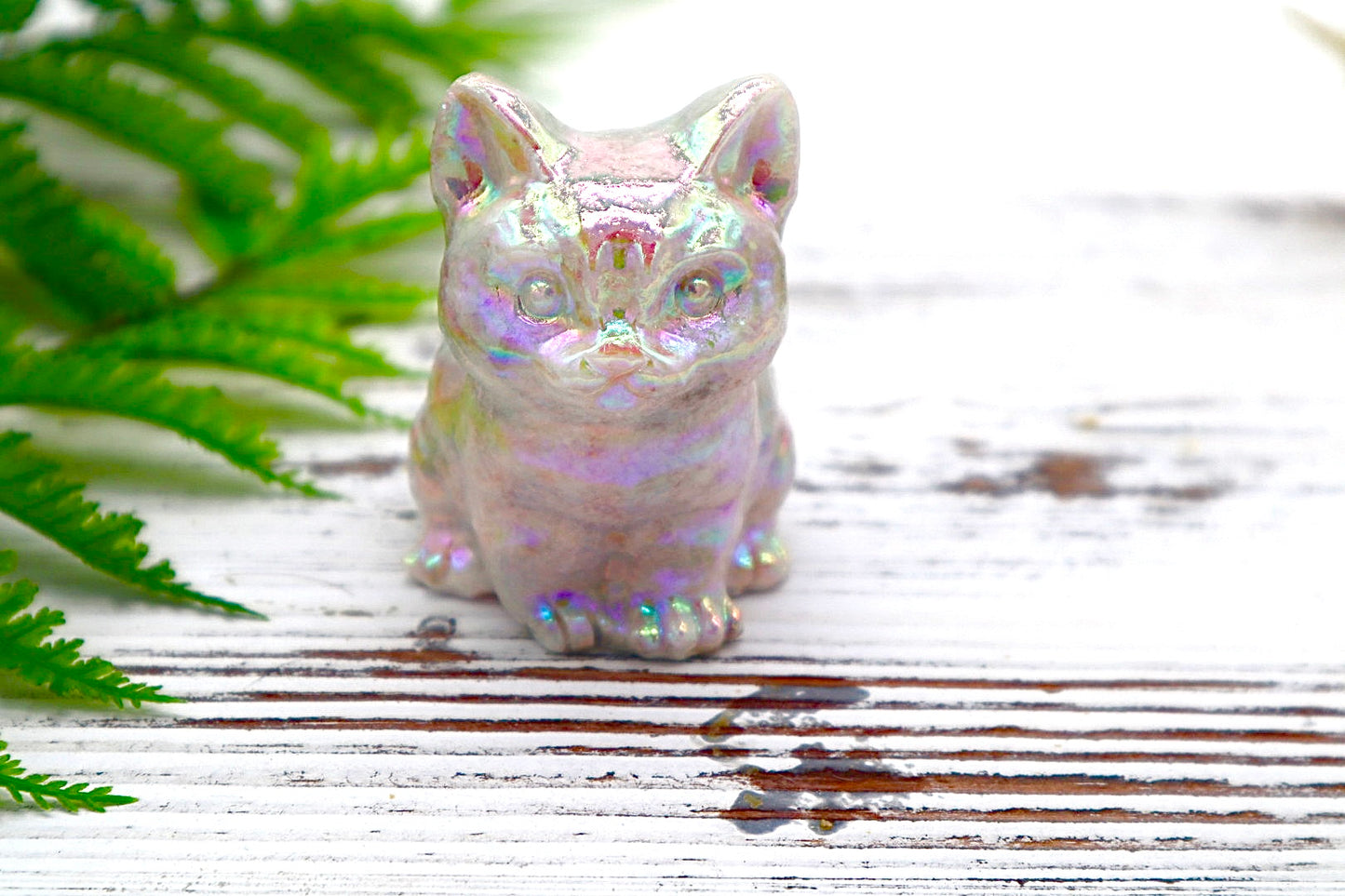 Angel Aura Cat