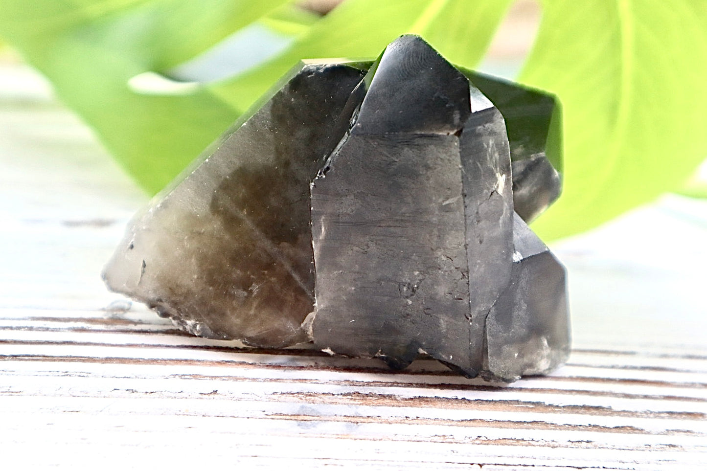Smoky Quartz Cluster