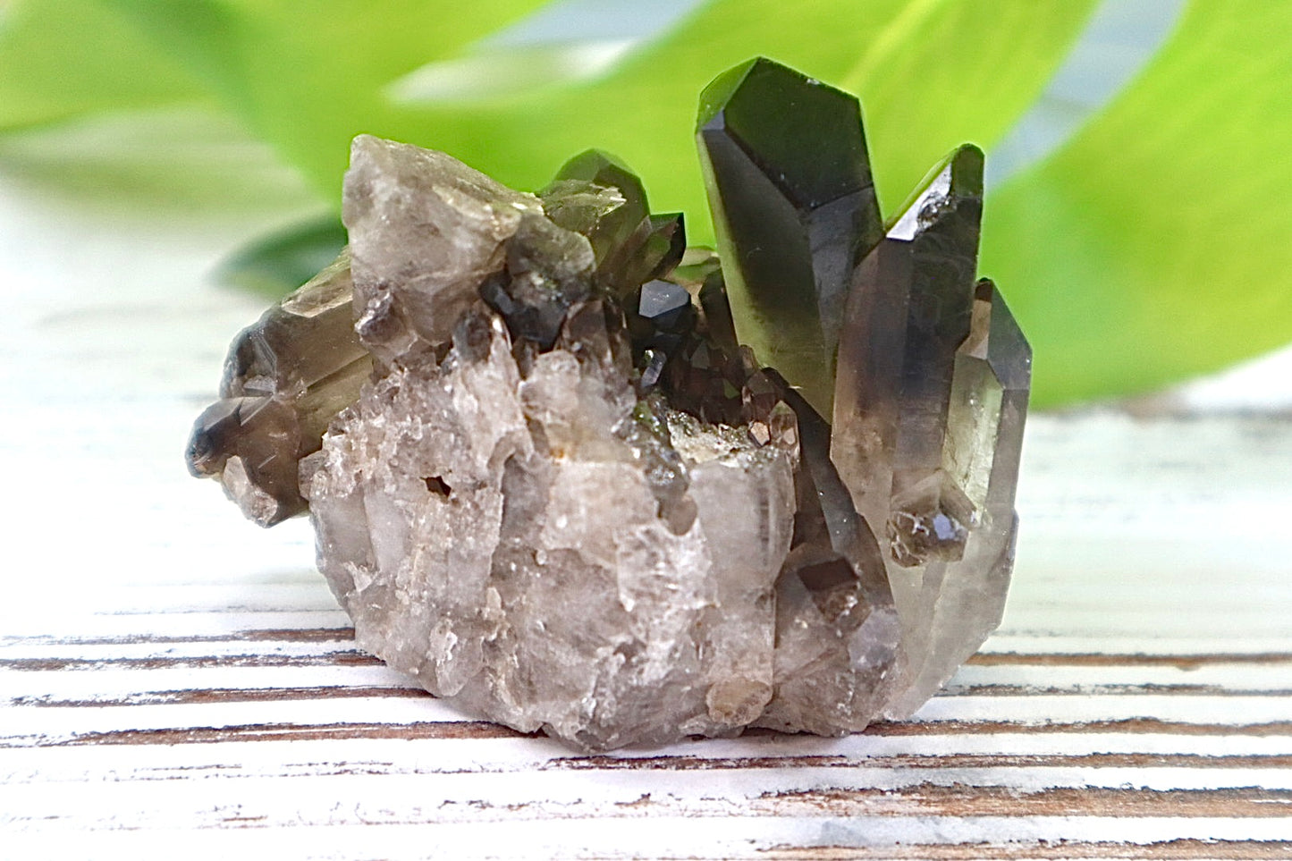 Smoky Quartz Cluster