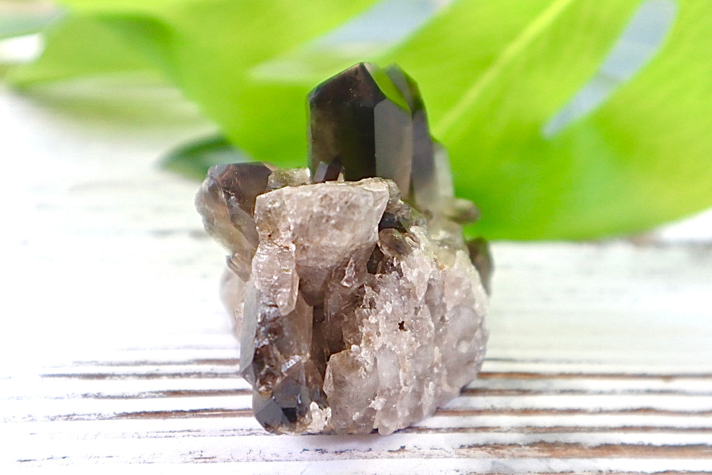 Smoky Quartz Cluster