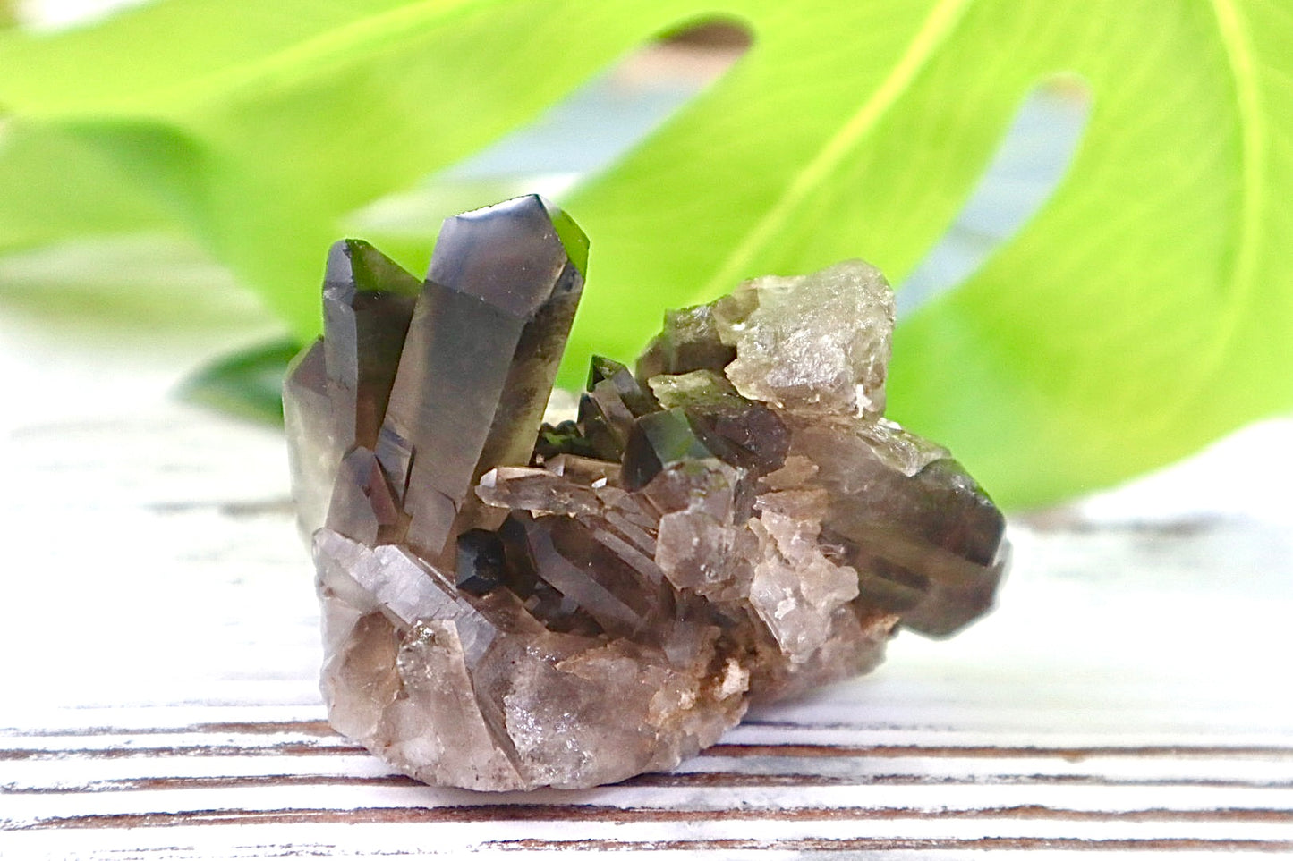 Smoky Quartz Cluster