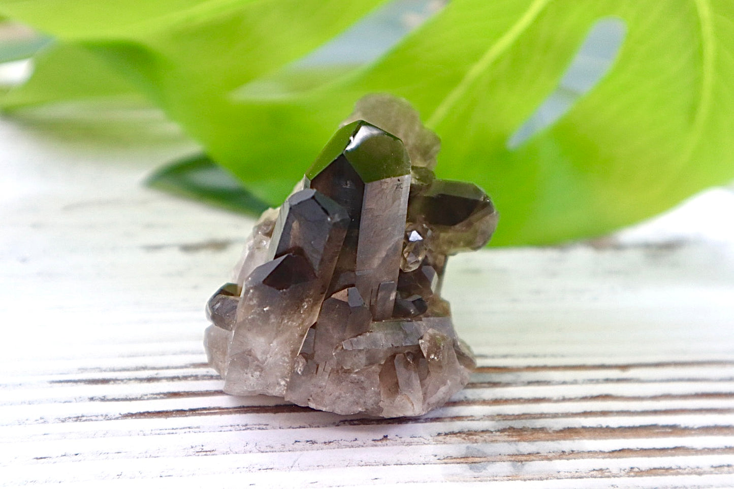 Smoky Quartz Cluster