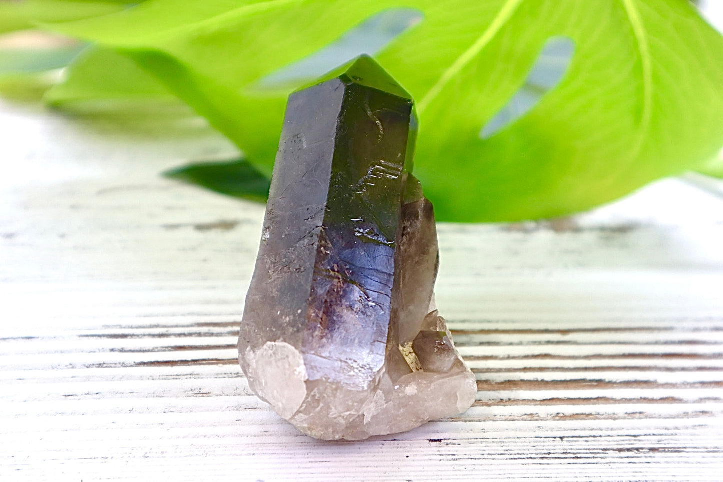 Smoky Quartz Cluster