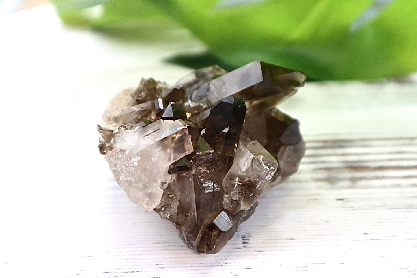 Smoky Quartz Cluster