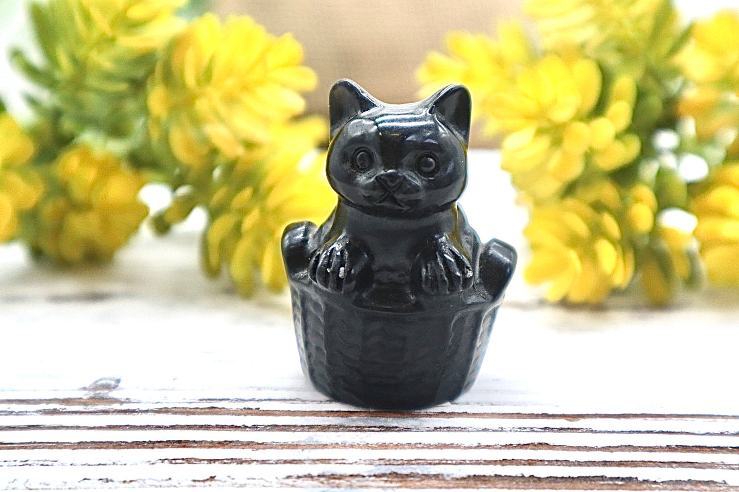 Obsidian Cat