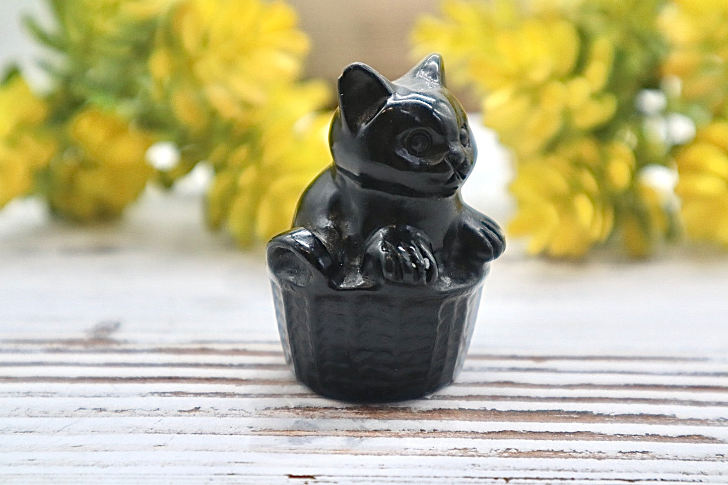 Obsidian Cat
