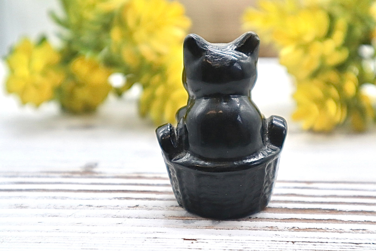 Obsidian Cat
