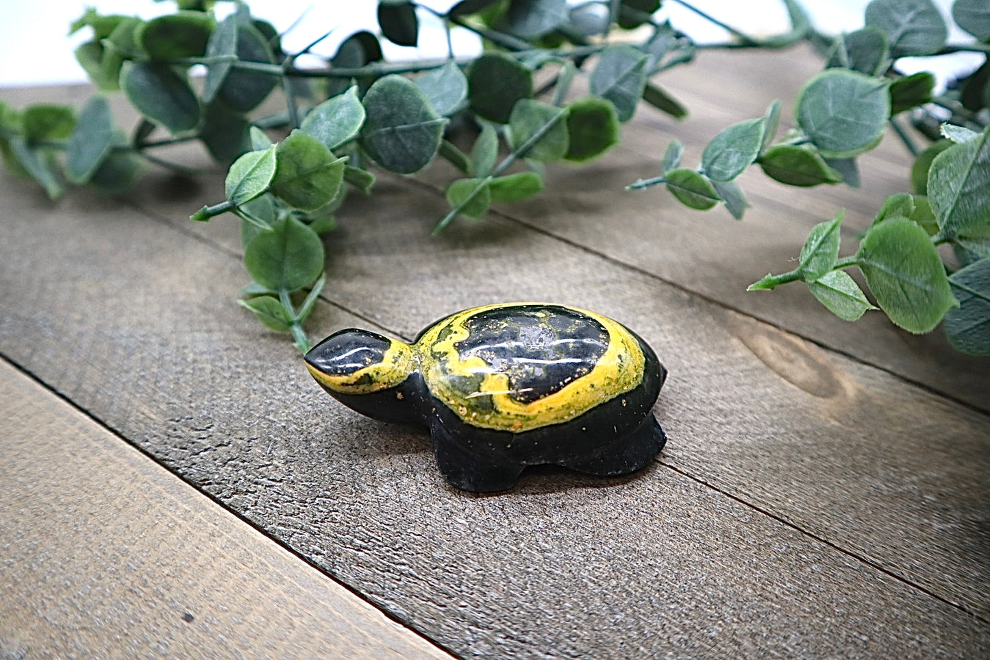 Bumble Bee Jasper Turtle