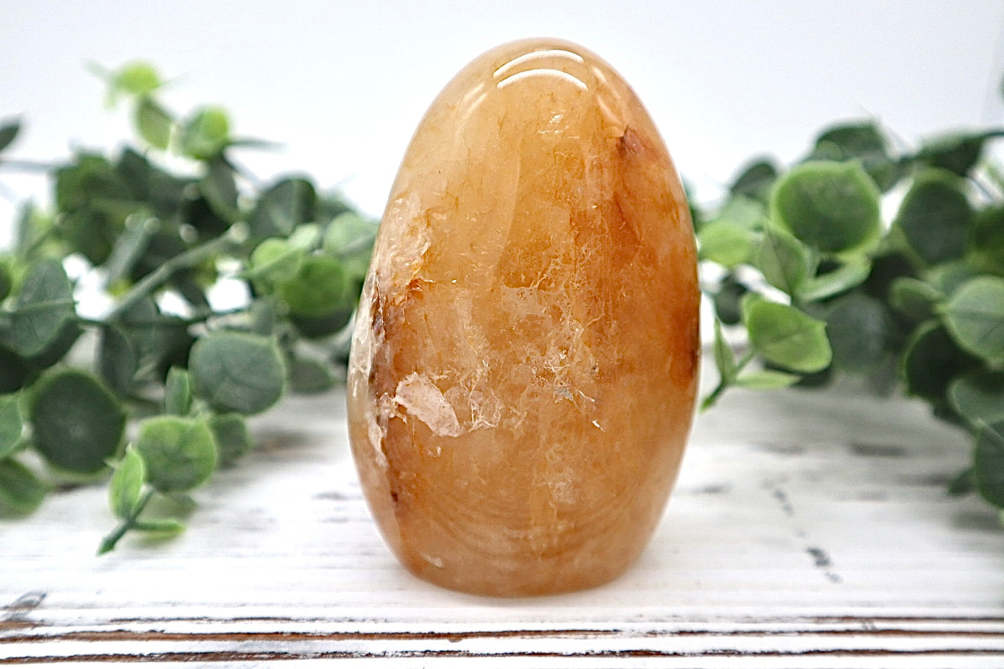 Golden Healer Free Form