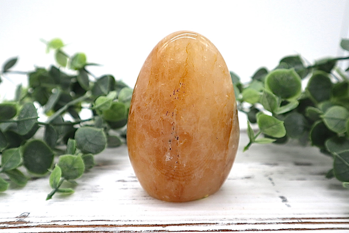 Golden Healer Free Form