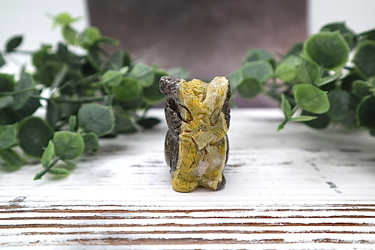 Bumble Bee Jasper Owl