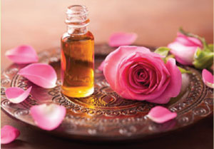 Suntree Moisturizing Face Cream