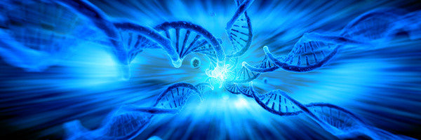 DNA Activation