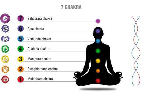 The Seven Chakras