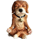 Dog in Meditation