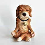 Dog in Meditation
