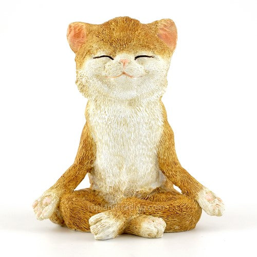 Cat in Meditation