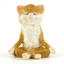 Cat in Meditation