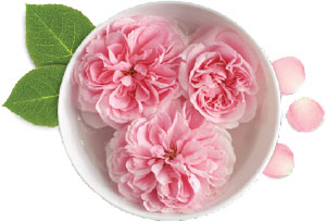 Suntree Moisturizing Face Cream